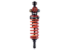 Carica l'immagine nel visualizzatore di Gallery, BiTubo CFMOTO 675 SR-R 2024 - CF650-10 | Sospensioni