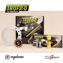 Carica l'immagine nel visualizzatore di Gallery, KIT TRASMISSIONE APRILIA TUONO V4 1100 '17/20 Cod. 256141000