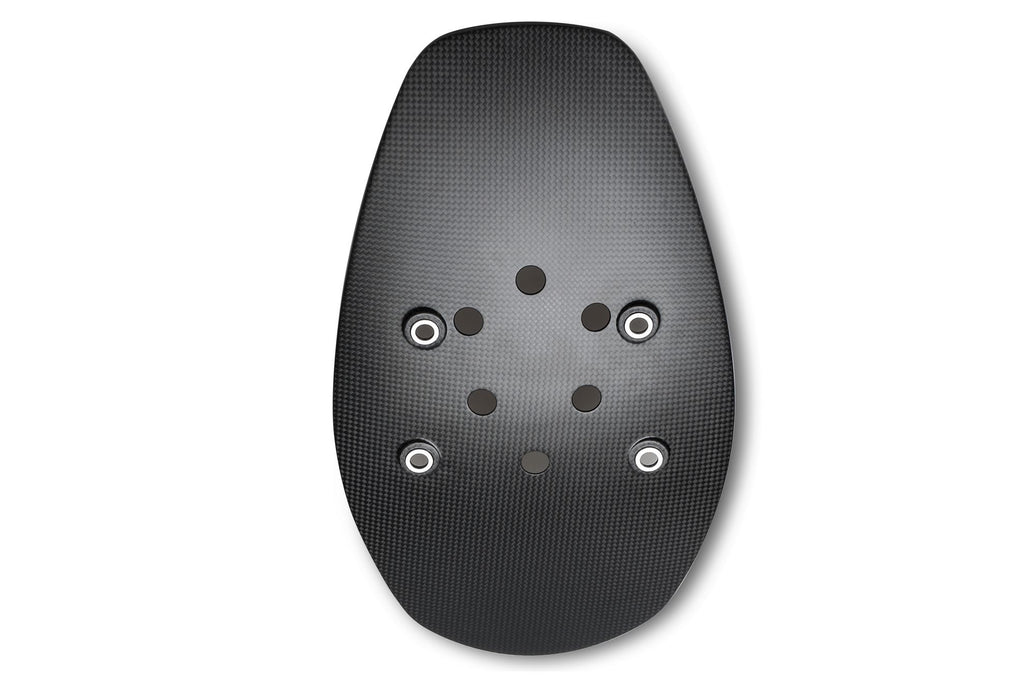Paraspruzzi ruota posteriore Ducati XDiavel/Diavel - carbonio opaco